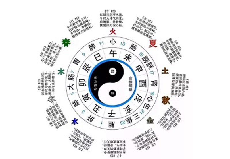 生辰八字查询：你的命运如何？